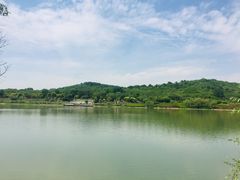 -羊山湖公园