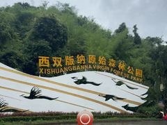-西双版纳原始森林公园