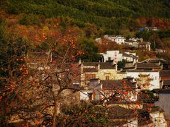 -塔川景区