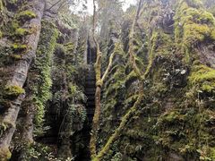 -梭布垭石林景区