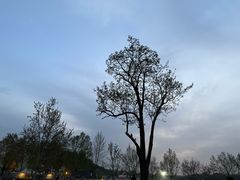 -汉长安城未央宫国家考古遗址公园