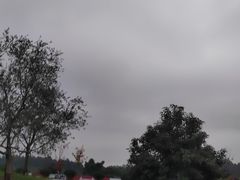 -空港花田景区