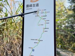 -长沙黑麋峰国家森林公园