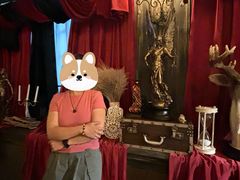 -雪灵魔法世界SHELLY’S TAROT(大良桂畔里店)