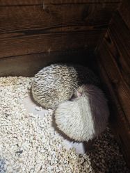 -酷嗒动物文化乐园(cutezoo西溪乐天城店)