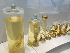 -广东中医药博物馆