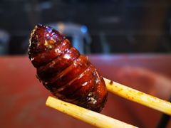 烤蚕蛹-老友烧烤(万达店)
