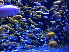 -成都浩海立方海洋公园