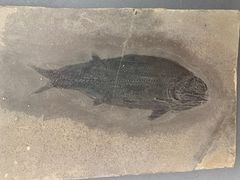 -贵州省博物馆(新馆)