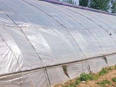 -昌平兴寿秀秀草莓采摘园