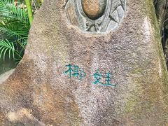 -呀诺达热带雨林