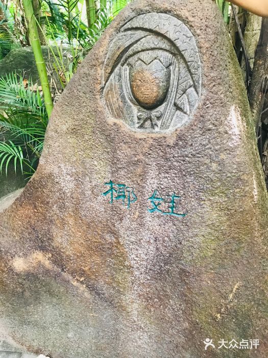 呀诺达热带雨林图片