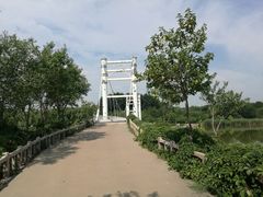 -塘沽森林公园