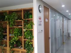 -杏林康桥中医正骨·体态矫正·跌打损伤·推拿按摩(国贸建外SOHO店)