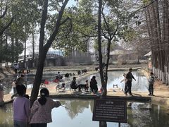 -乌村