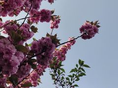-湖南人家湘菜馆(镇江路店)