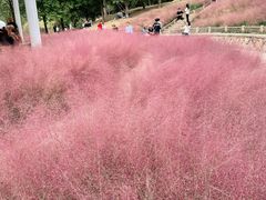 -牛岗山公园