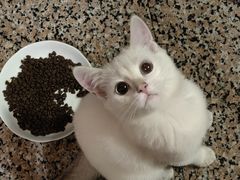 -佳雯宠物医院(四明中路分院)