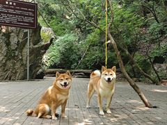 -九龙潭景区