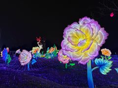 -国际非物质文化遗产博览园