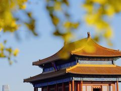 -故宫博物院(故宫)
