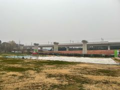-秀丽东方