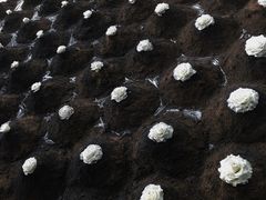 -成都许燎源现代设计艺术博物馆