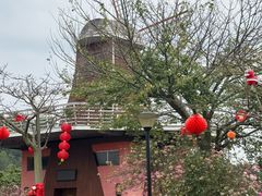 -东莞植物园