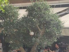 -ELI FALAFEL Lebanese&Mediterranean黎巴嫩美食(富城路店)