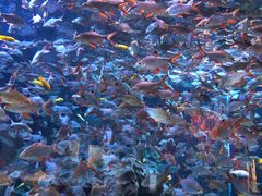 -成都浩海立方海洋公园