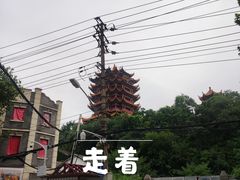 -黄鹤楼公园(黄鹤楼)