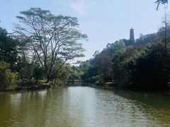 -南沙蒲洲花园