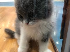 -龟与熊猫宠物公园(南坪店)