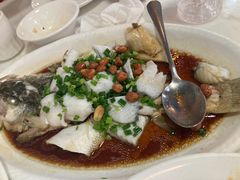 葱香清蒸鲈鱼-张记旺角食街(动物园店)
