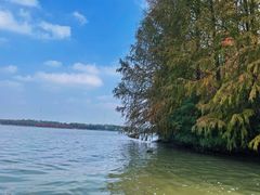 -上海海湾国家森林公园