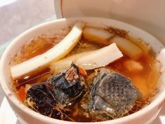 椰子炖竹丝鸡汤-啫神·广州地标美食(北京路店)