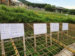 -哈尔滨北方森林动物园