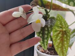 -百万叔(临湖店)