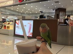 -书亦烧仙草(华新步步高店)