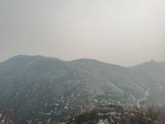 -北京鹫峰国家森林公园