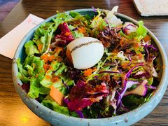 -Hatsune隐泉日式料理(三里屯太古里店)