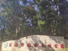 -广州市流溪河国家森林公园