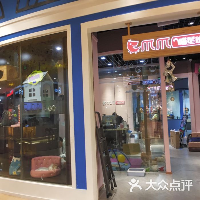 爪爪宠物喵星球图片-北京宠物店-大众点评网