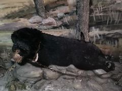 -北京动物园-畅观楼