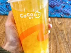 -CoCo都可(大兴店)