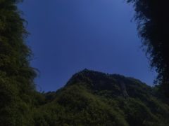 -阿依河景区