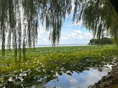 -阳澄湖费尔蒙酒店
