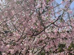 -徐家汇源景区-衡山公园