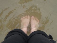 鹅爪~~-青岛第二海水浴场