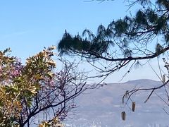 -云禾壹海景庄园餐厅